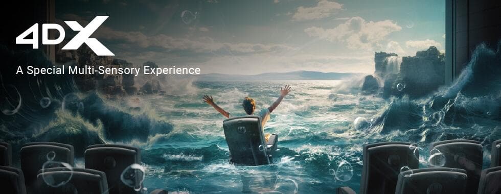 4DX